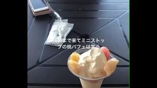 岡崎まで来てミニストップのアイス