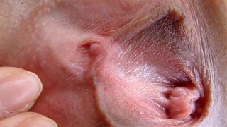 G-Queen 間宮 純 Jun Mamiya – Friska HDporn.VIP