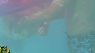 4d382fe7ccb412ed3c0bef8b9f282886