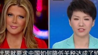 【中文字幕】央视主播刘欣vs.福克斯Fox News主播翠西·里根（Trish Regan） 贸易战辩论