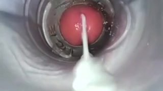 closeup fuck cumshots 1