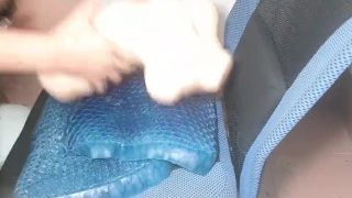 Daily training for single dogs