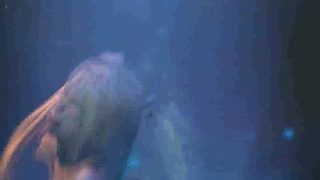 Marie rose in the dungeon微博 粉粉苍 裸聊约炮 2d59z.cn